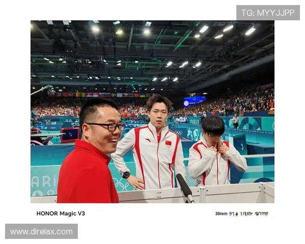 杭州排球队的崛起之路联合会杯背后的奋斗与荣耀